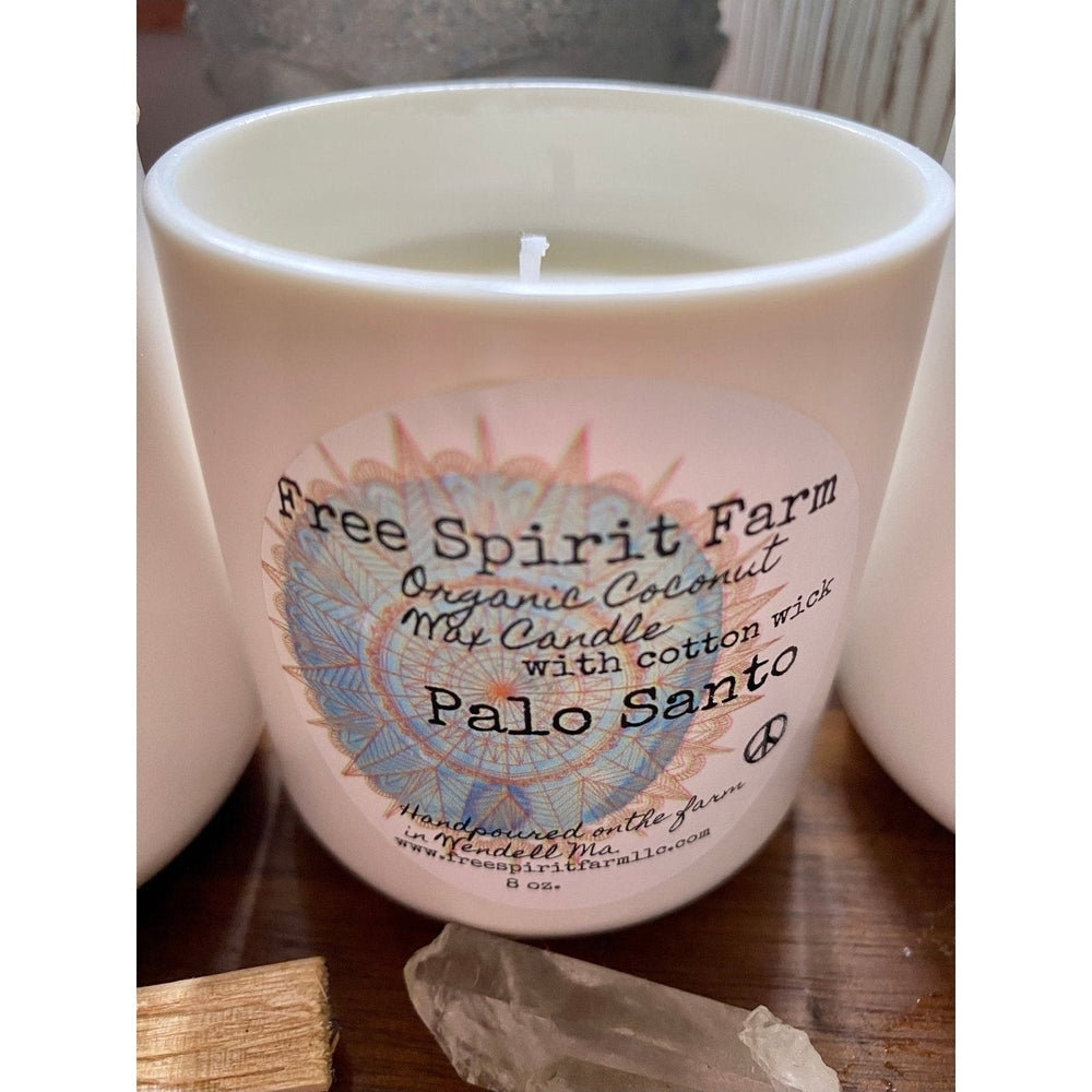 Ceramic Coconut Candle ~ Palo Santo