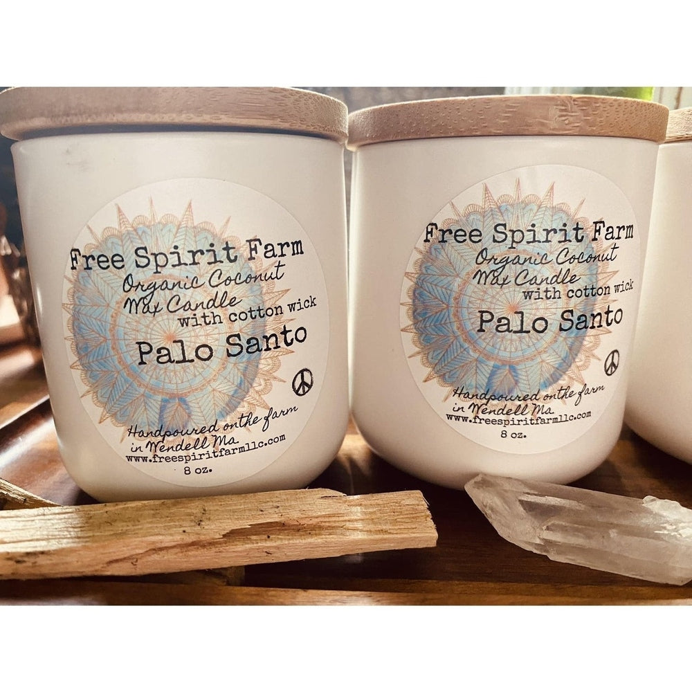 Ceramic Coconut Candle ~ Palo Santo