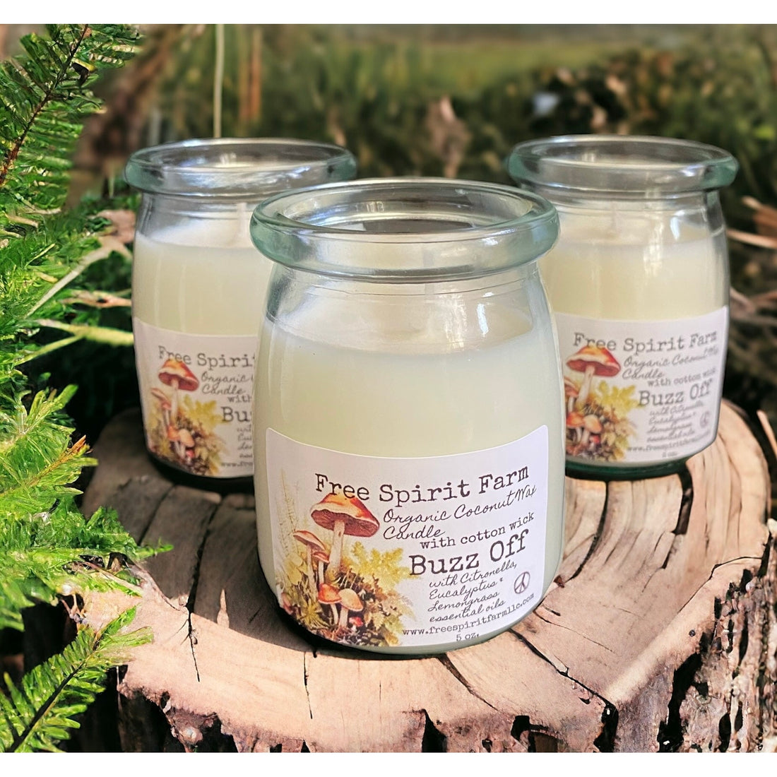 Coconut Wax Candle~Buzz Off