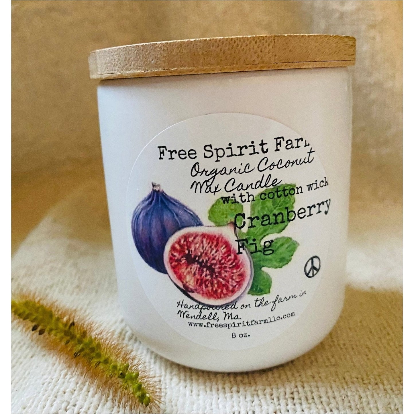 Ceramic Coconut Candle~Cranberry Fig