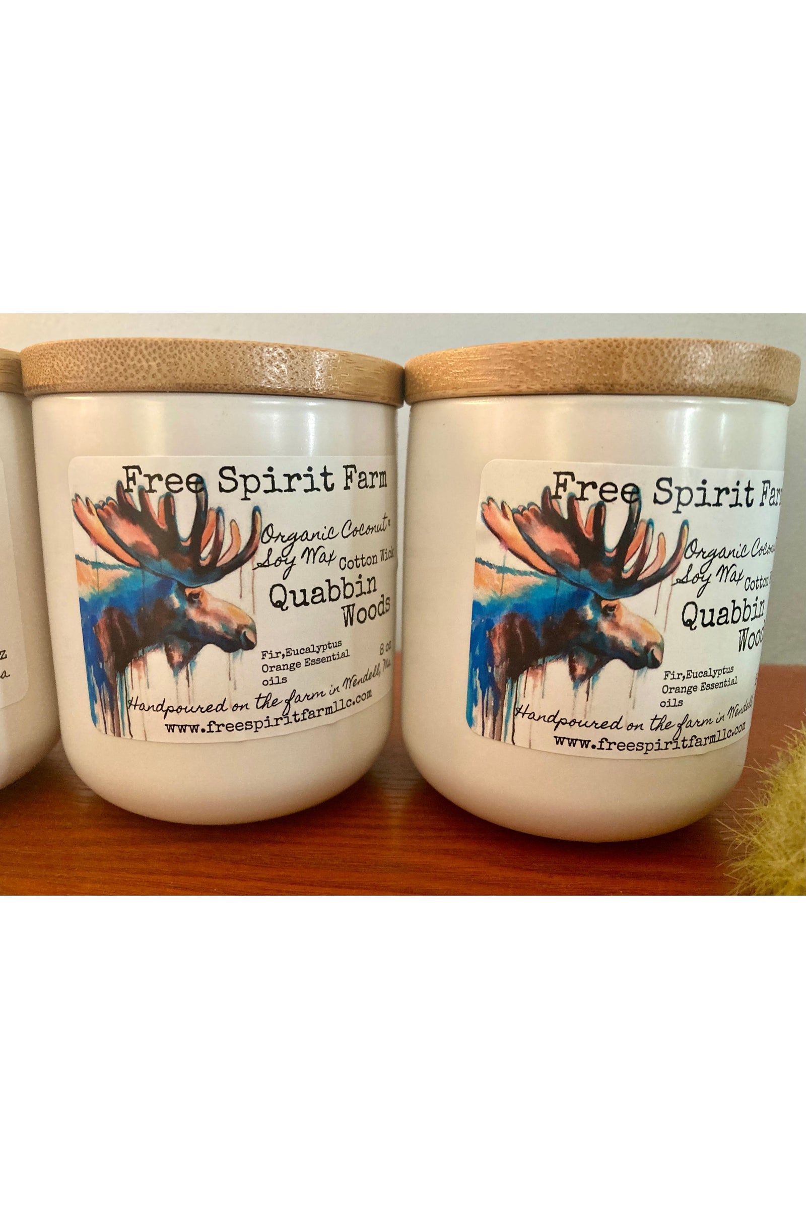Ceramic Soy &amp; Coconut Candle~ Quabbin Woods