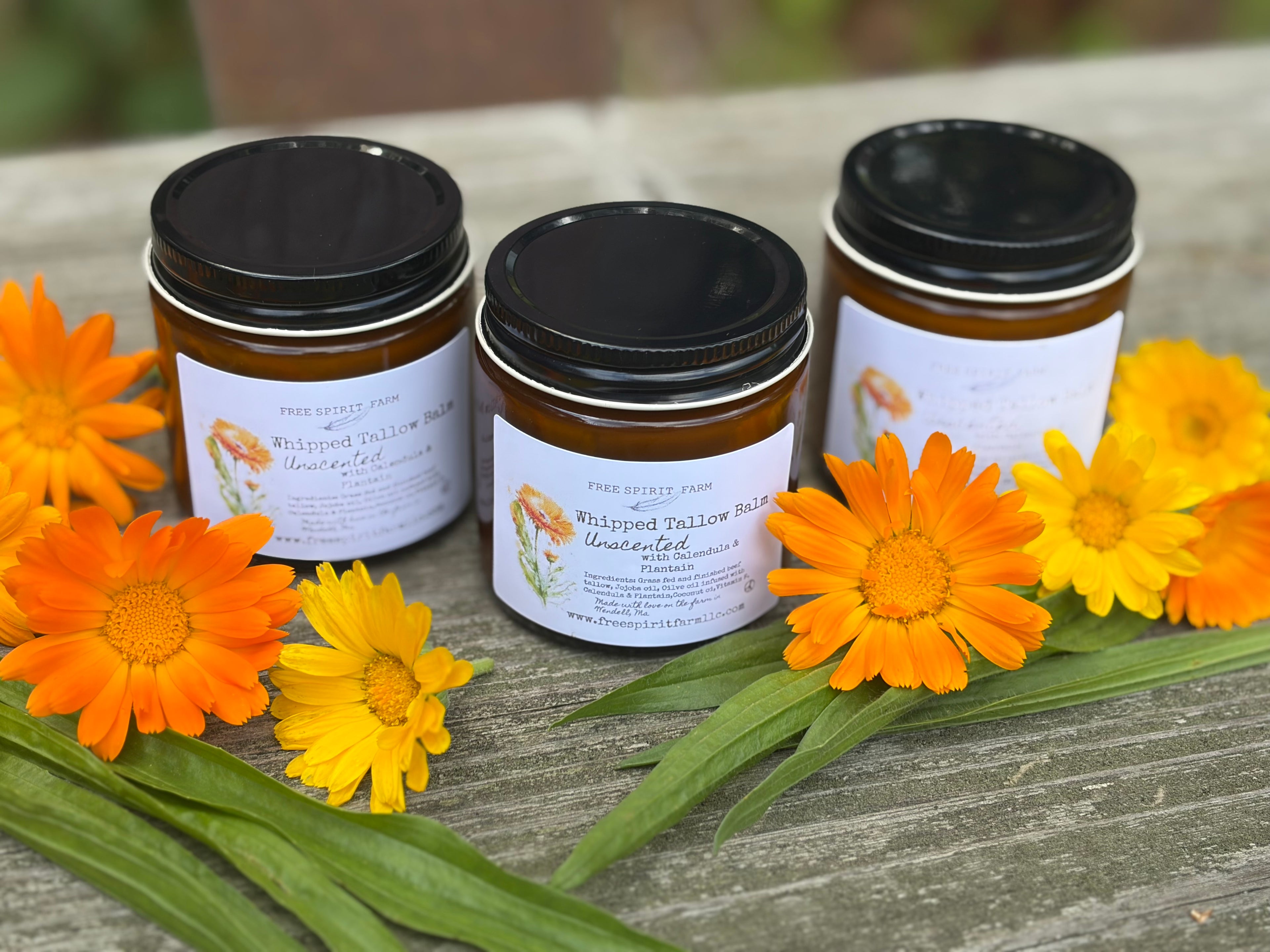 Soothing Whipped Tallow Balm - Calendula &amp; Plantain