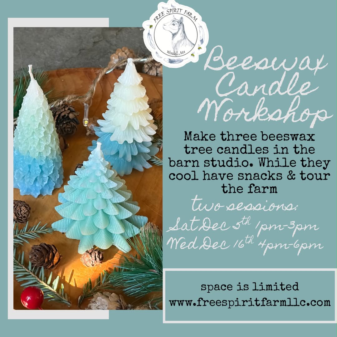 Holiday Beeswax Tree Candle Workshop-Two Sessions