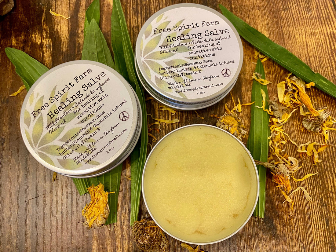 Two travel tins of Free Spirit Farm Healing Salve with Plantain &amp; Calendula, alongside a third tin that is partially melted, displaying the product. The tins are on a wooden surface with green and orange botanical elements surrounding them.