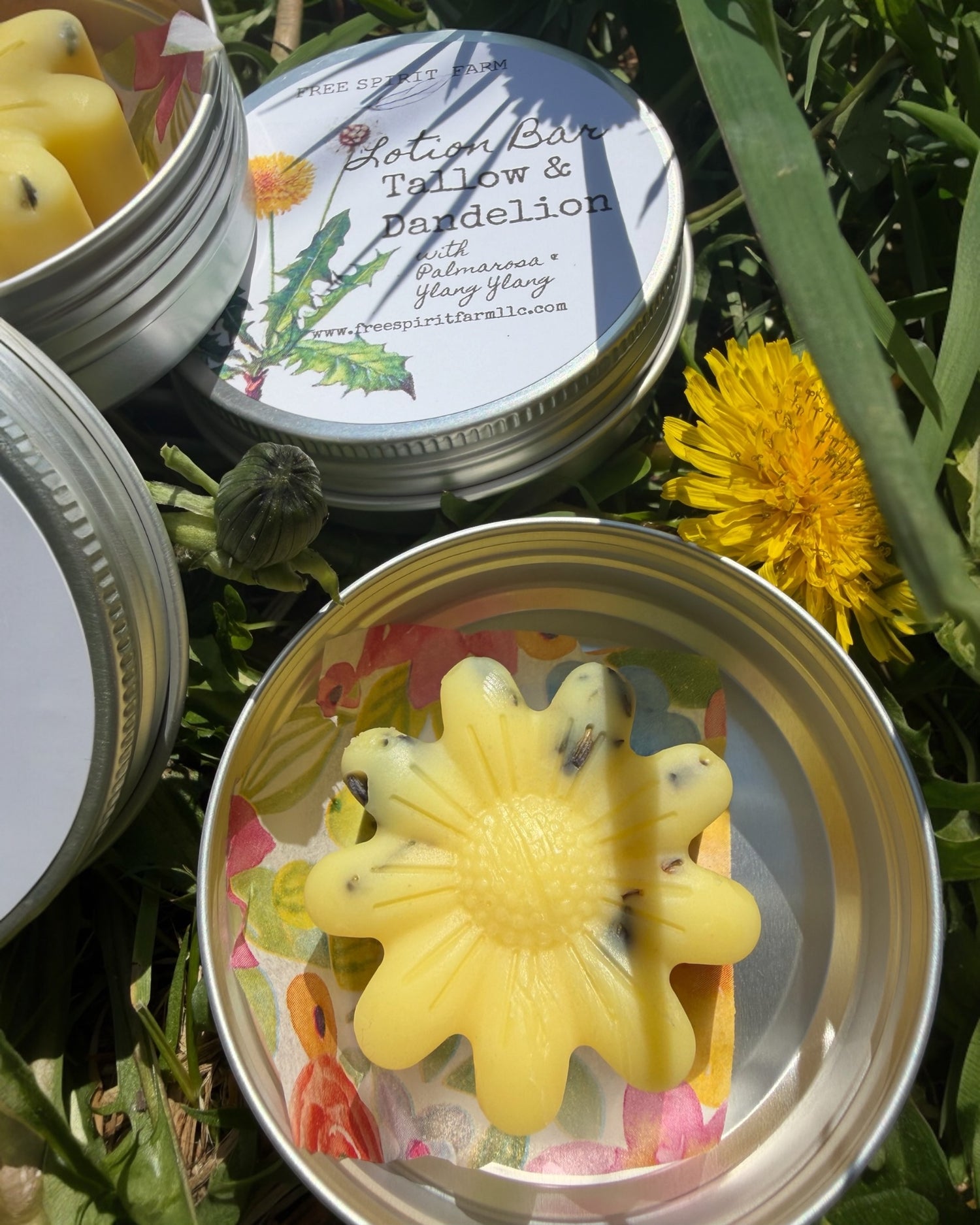 Moisturizing Lotion Bar- Tallow &amp; Dandelion