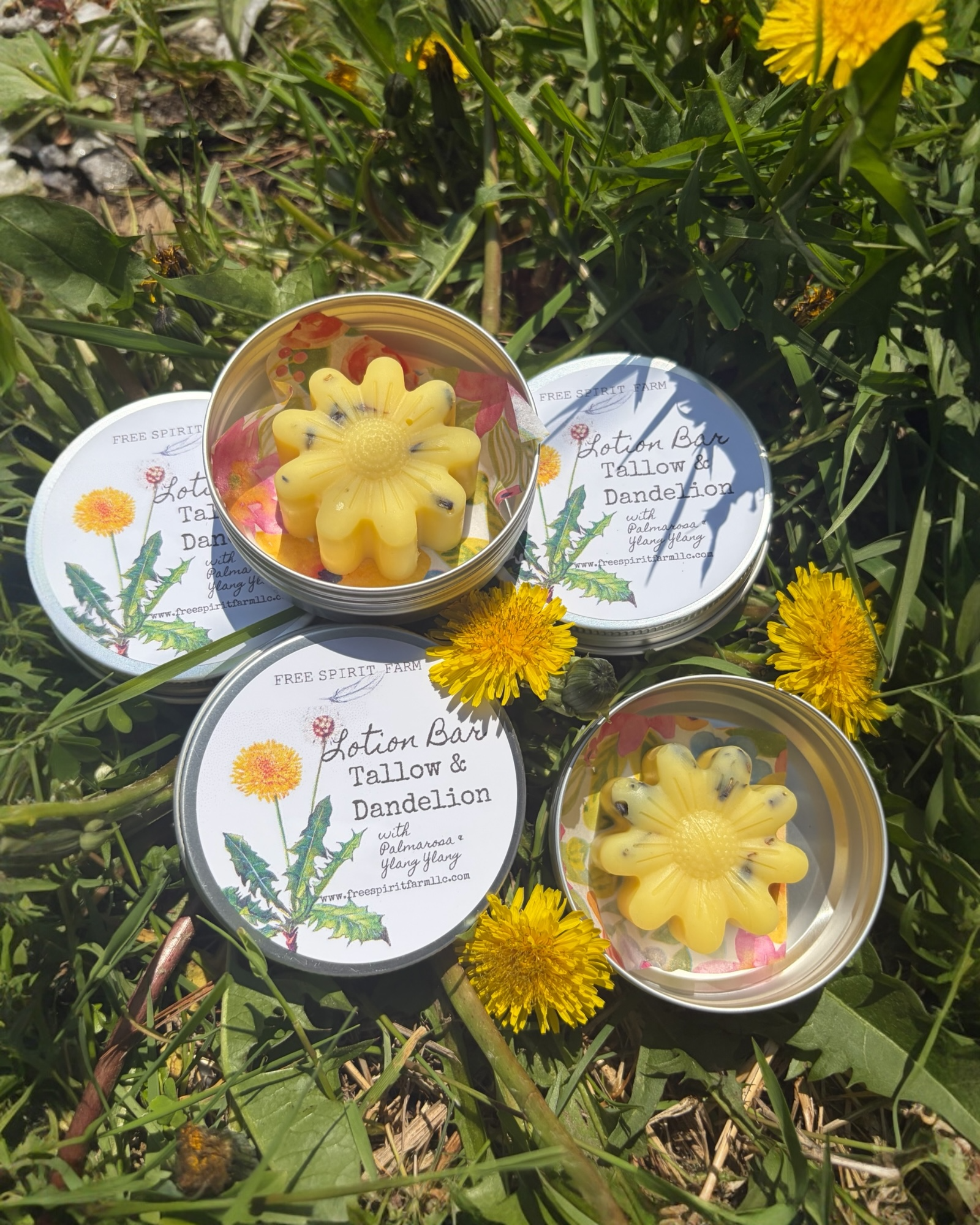 Moisturizing Lotion Bar- Tallow &amp; Dandelion