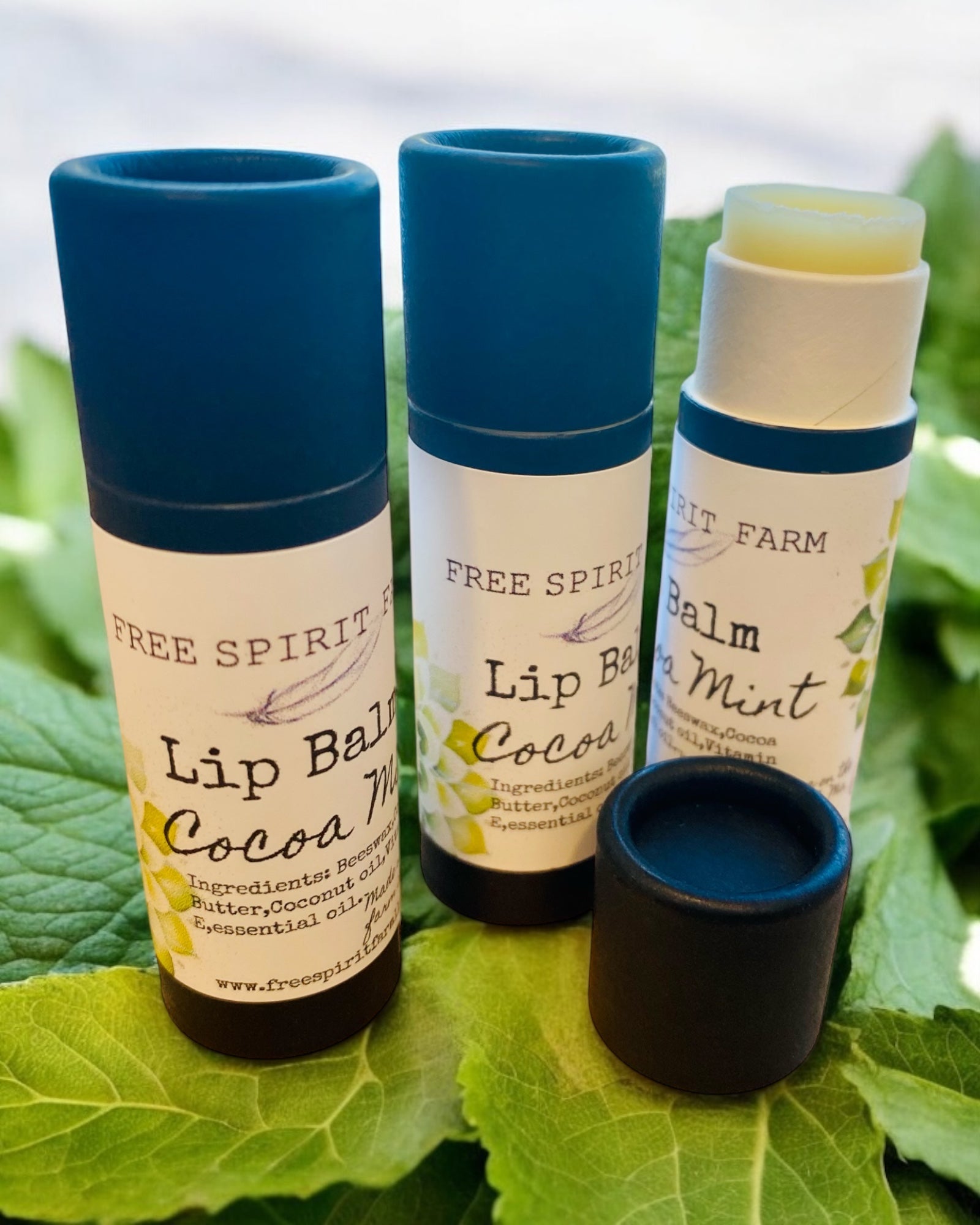 Three lip balms in recyclable kraft containers with blue lids, labeled as &