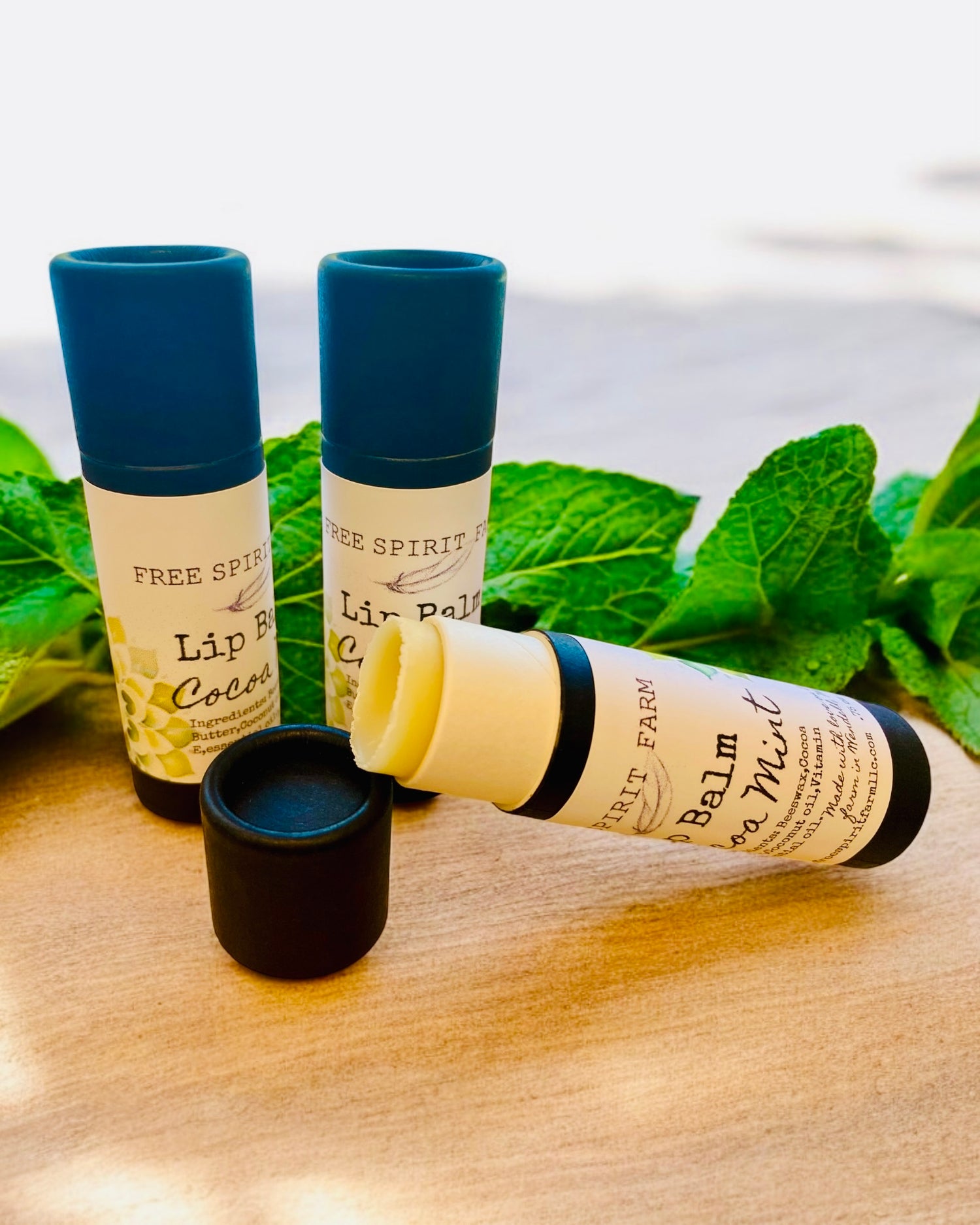 Lip Balm - Cocoa Mint