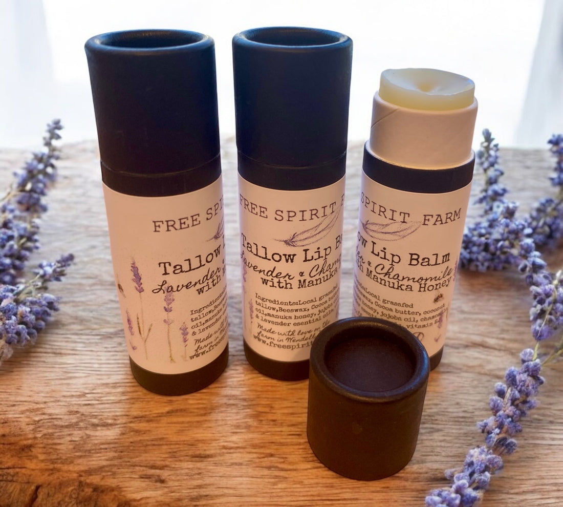 Three tubes of Tallow Lip Balm in a cardboard recyclable packaging, with lavender plants in the background.