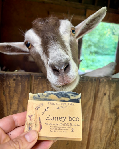 Goat looking at a honey bee-themed soap bar held by a hand.